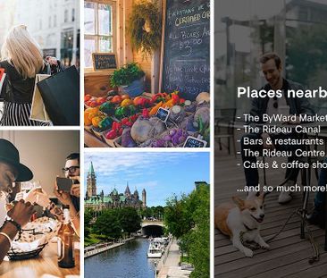Luxury Apartments at The Carlisle in Downtown Ottawa! RECEIVE 1 MON... - Photo 6