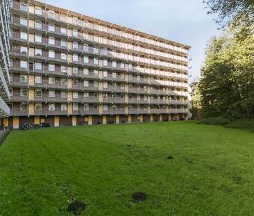Fluitekruidweg 0ong, 1508 Zaandam, Nederland - Foto 1