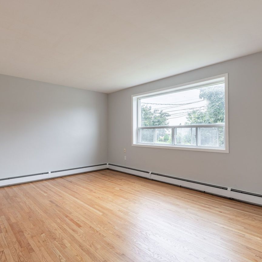 For Lease - 3-5 Olive Street Unit# Unit 3, Grimsby, Ontario - Photo 1