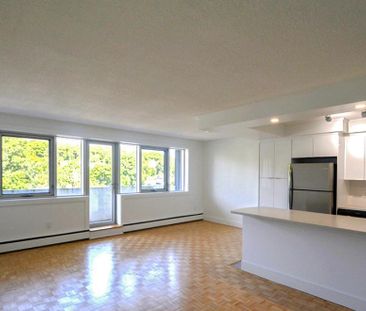 1 Oak Street - Photo 6