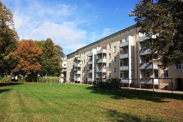 Große 2-Raum-Wohnung mit Balkon im Reitbahnviertel - Foto 1