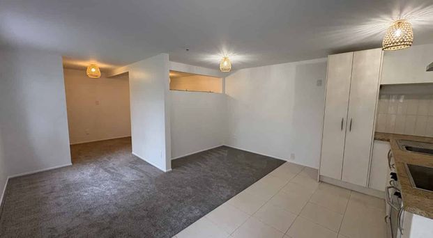 IMMACULATE STUDIO UNIT ON NORMANS HILL - Photo 1