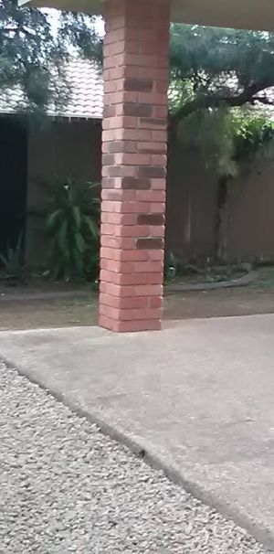 1/51 Higgs Street - Photo 1