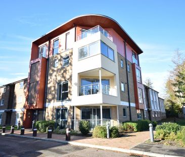 3 bedroom flat to rent - Photo 6