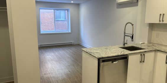 Superbe 1 Chambre Rénové – 1 Mois Gratui - Photo 3