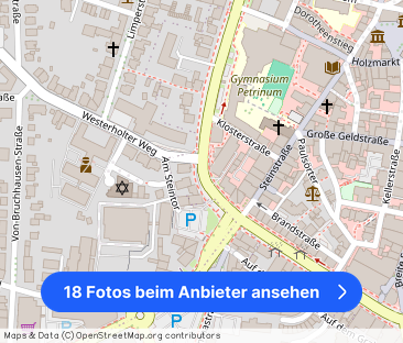 3,5-Raum-Penthouse-Wohnung mit Balkon, Wintergarten, zur Miete in z... - Foto 1
