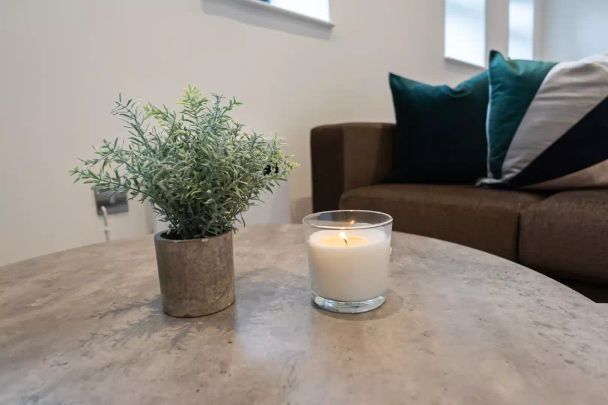 Extra-large 1-Bedroom Apartment - Photo 1