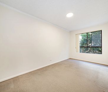 Freshly Updated Two Bedroom Apartment with Leafy Outlook - Photo 4