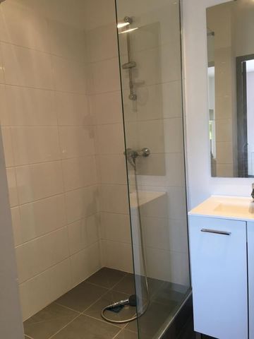 Location Appartement 1 pièce 18m² ECULLY 69130 - Photo 5