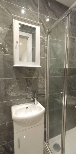 Studio Flat, Gleneldon Road, SW16 - Photo 1