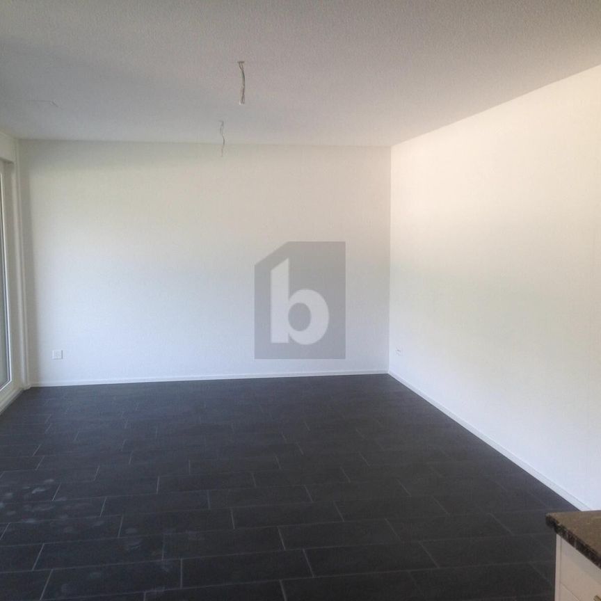 SUNNY AND MINERGIE-CERTIFIED WITH BALCONY - Photo 1