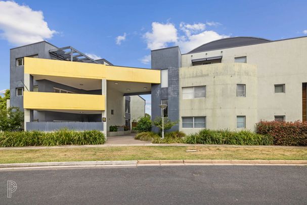 2/15 Strangways Street, Curtin ACT 2605 - Apartment For Rent | Domain - Photo 1