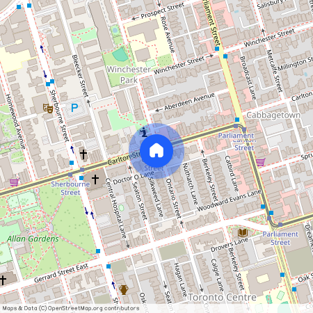 195 Carlton Street Unit# Unit #1, Toronto