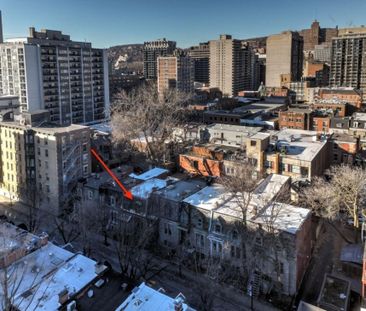 Maison à étages à louer - Montréal (Ville-Marie) (Centre Ouest) Mai... - Photo 3