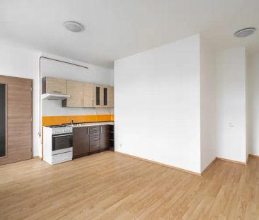 Zrekonstruovaný byt 1+kk, 27 m - Fotografie 3