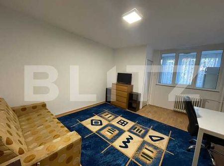 Garsoniera de 30 mp, pet friendly, zona Iulius Mall - Fotografie 2