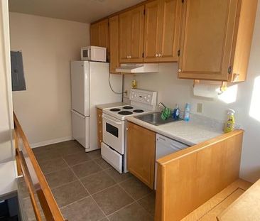 93 Lower Union St - Unit 3, 4 bed, 1.5 bath - Photo 4