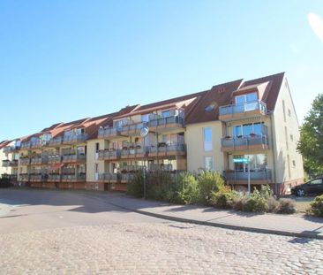 große 1 Raum Wohnung.. im Plötzkauer Ring - Foto 3