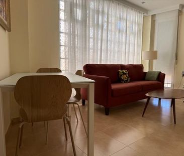 PLATERIA MAGNIFICO APARTAMENTO AMUEBLADO DOS DORMITORIOS - Photo 4