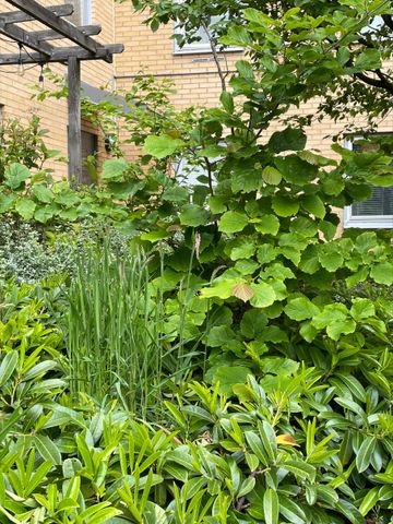 Norra Vägen 23 - Photo 5