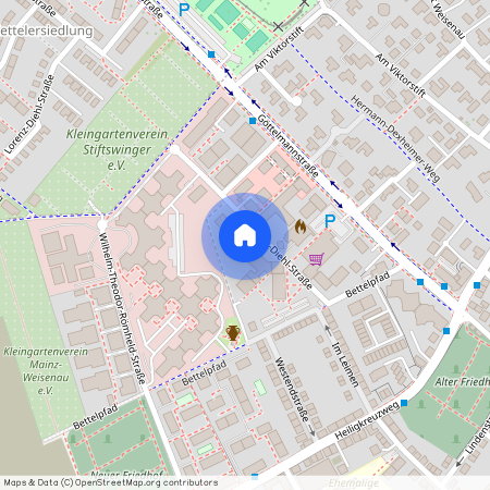 Alexander-Diehl-Str. 3, 55130, Mainz Ot Weisenau