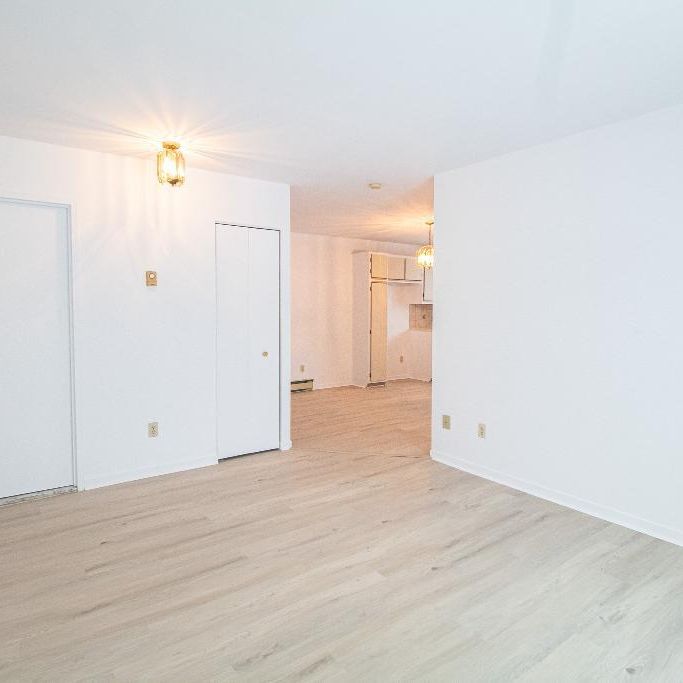 Magnifique 3 1/2 à louer à Terrebonne - Photo 1