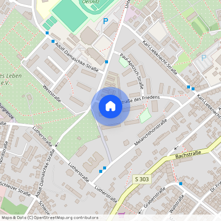 Str. des Friedens 16, 08606 Oelsnitz/V.