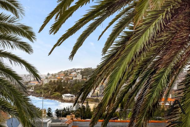 3/141 Arden Street, Coogee NSW 2034 - Apartment For Rent | Domain - Photo 1