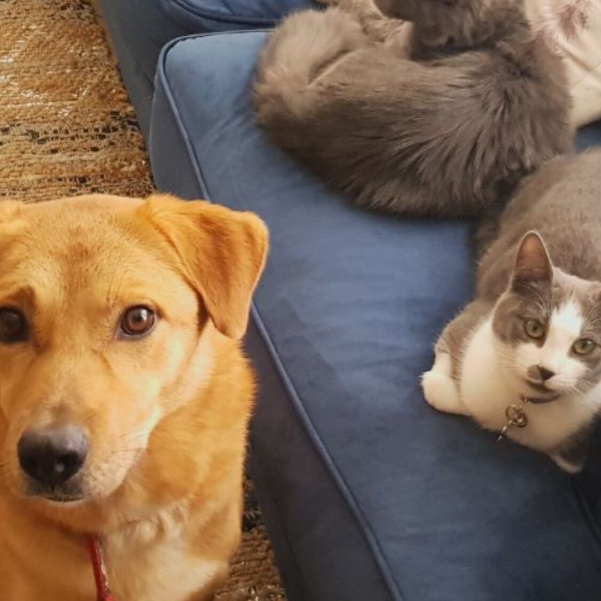 Kelvin Grove - Photo 1