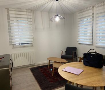 Location Appartement 2 pièces Meublé 35m² ANNECY 74000 - Photo 1