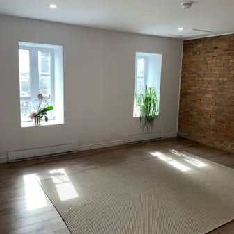 New bright spacious 4 1/2 near Downtown CHUM - Photo 4