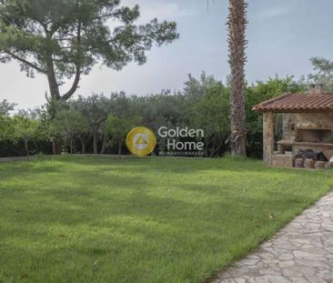 Διαμέρισμα για ενοικίαση Θεολόγος (Μαλεσίνα) - Photo 1