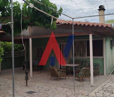 Μονοκατοικία για ενοικίαση Ριζόμυλος (Διακοπτό) - Photo 6