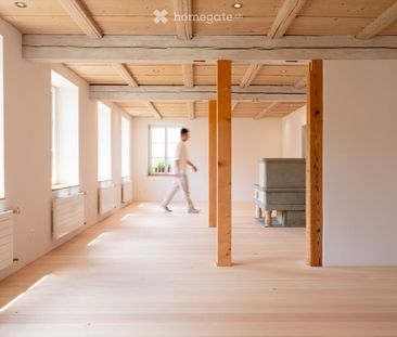 Neue moderne 2.5 Zi. Wohnung mit Charme in Bauernhaus im EG - Foto 4