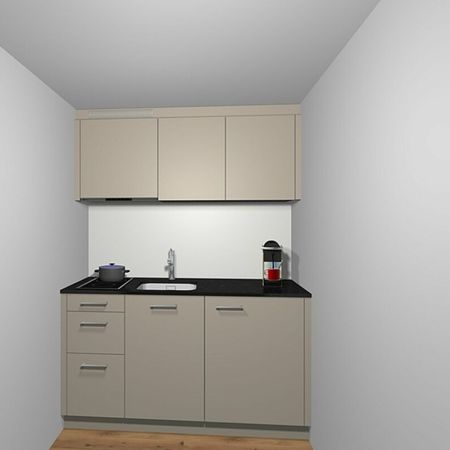 Charmante 1-Zimmer-Wohnung in St. Gallen mit neuer Küche - Foto 3