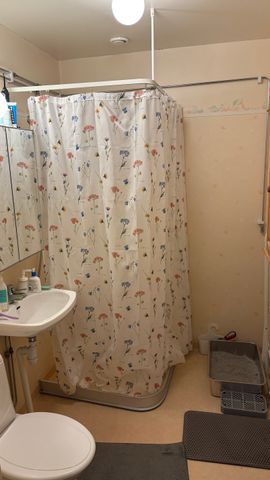 Ringvägen, Hedemora - Photo 5