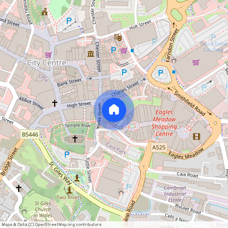 Meadow Court, Eagles Meadow, Wrexham, LL13