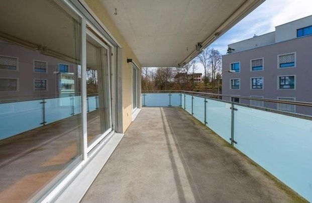 Rent a 3 ½ rooms apartment in Wetzikon - Photo 1