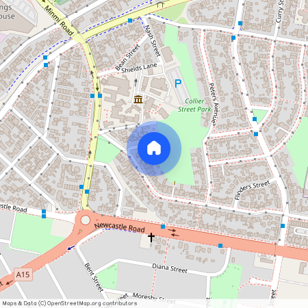 3 Collier Street, Wallsend, NSW 2287