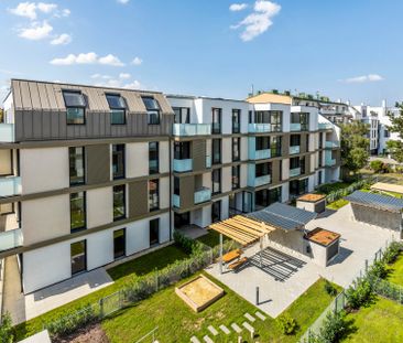 Geräumige 2-Zimmer Dachgeschosswohnung mit Terrasse | Verfügbar ab ... - Photo 6