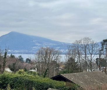 Appartement T2 - VEYRIER DU LAC - Photo 4