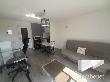 Appartement à louer, 1 pièce - Olivet 45160 - Photo 3