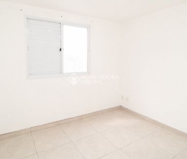 Apartamento com 2 quartos e 50m² para alugar em Santa Terezinha, Sã... - Photo 5