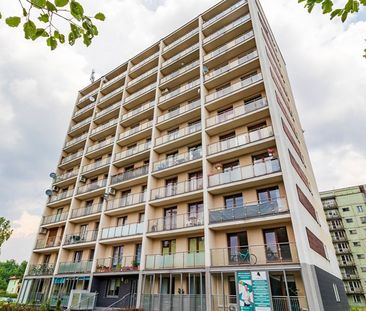 Katowice Ochojec, ul. Ziołowa - Zdjęcie 6