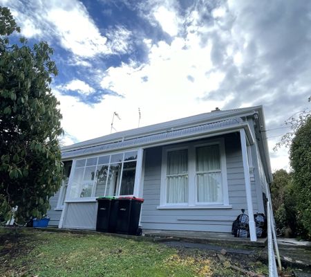 56 South Road, Caversham, Dunedin - Photo 4