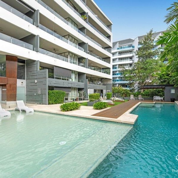 RIVER VIEWS: Generous apartment living in a resort style complex with ground level pool in West End! - Photo 1