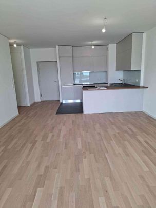 2.5 Zimmer, 66 m², 7. Stock - Photo 1