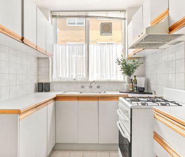 Courtyard! Courtyard! Courtyard! - Photo 6