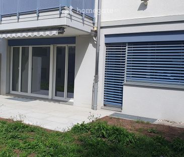 Moderne 4.5-Zimmer-Terrassenwohnung in Eschenbach SG – Sofort verfügbar! - Photo 5