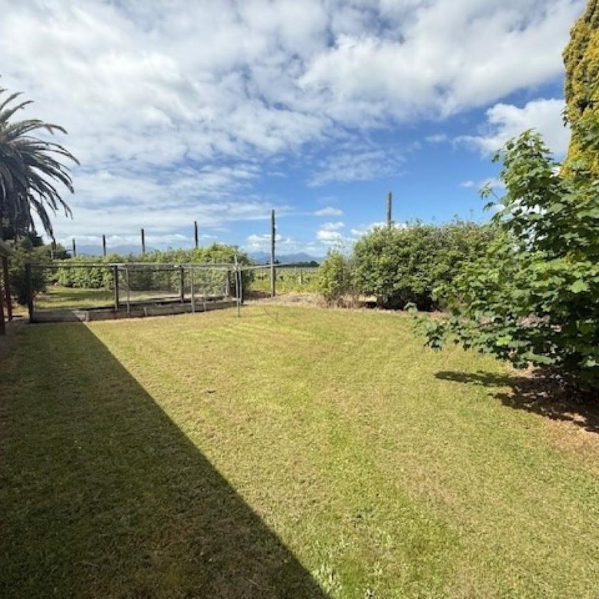 Quiet Living Surrounded by Vineyards - Photo 1